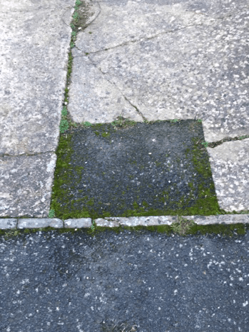 Scared concrete driveway